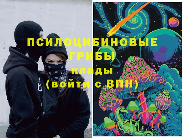 дмт Гусиноозёрск