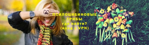 дмт Гусиноозёрск