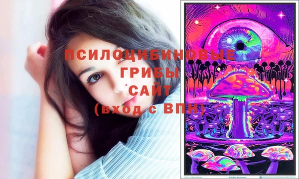 гашиш Гусь-Хрустальный