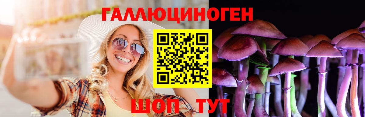 Галлюциногенные грибы GOLDEN TEACHER Северск