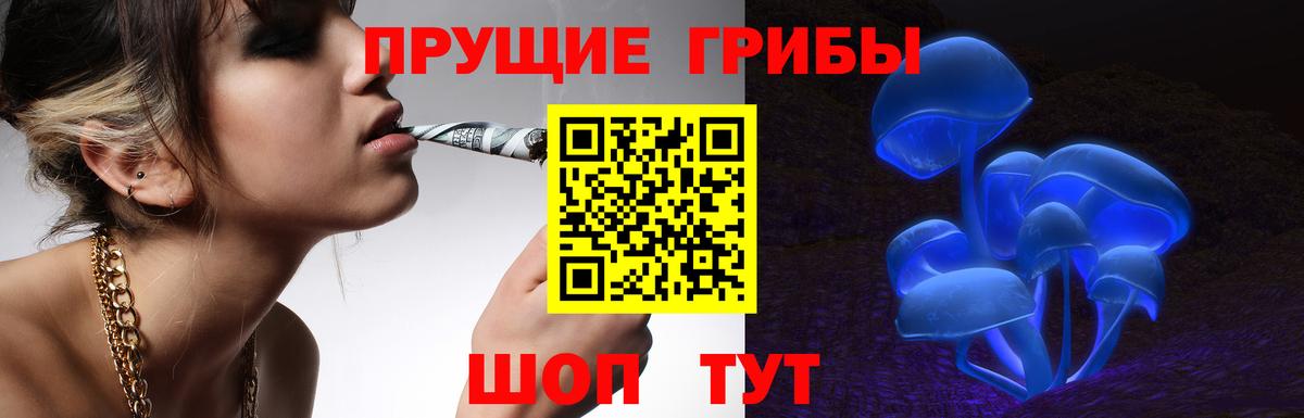 Северск  Псилоцибиновые грибы мицелий  Вход с VPN 
